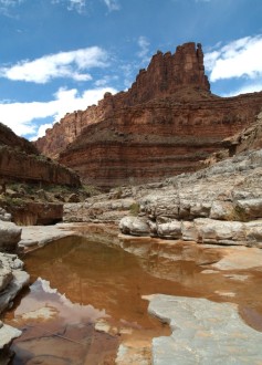 San Juan River View